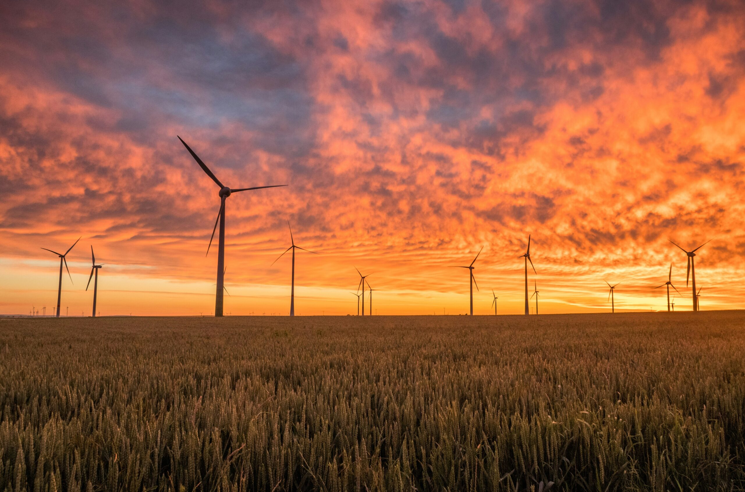 wind renewable energy photo